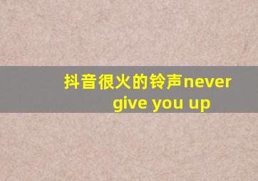 抖音很火的铃声never give you up